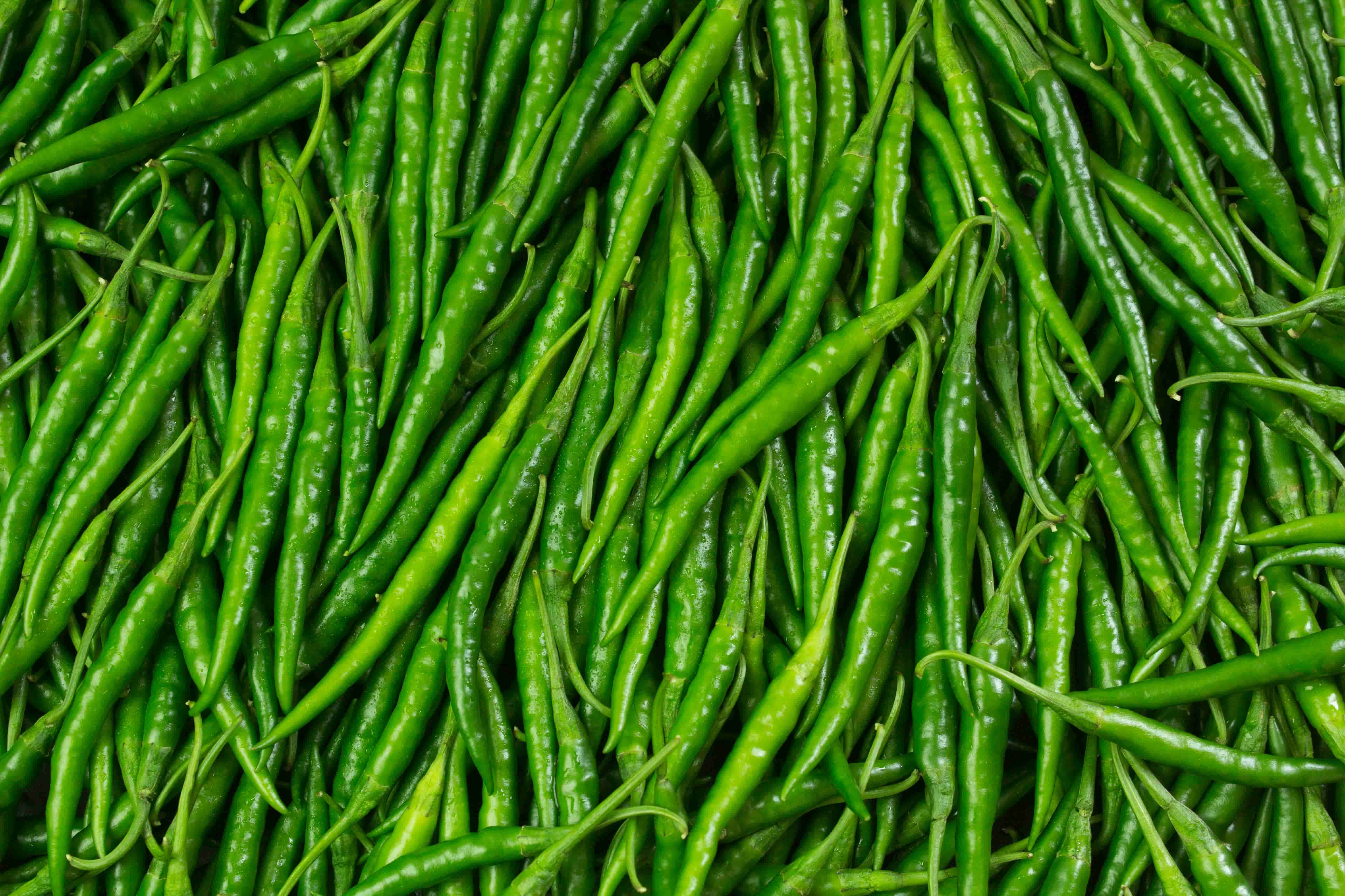 Green Chilli Export India
